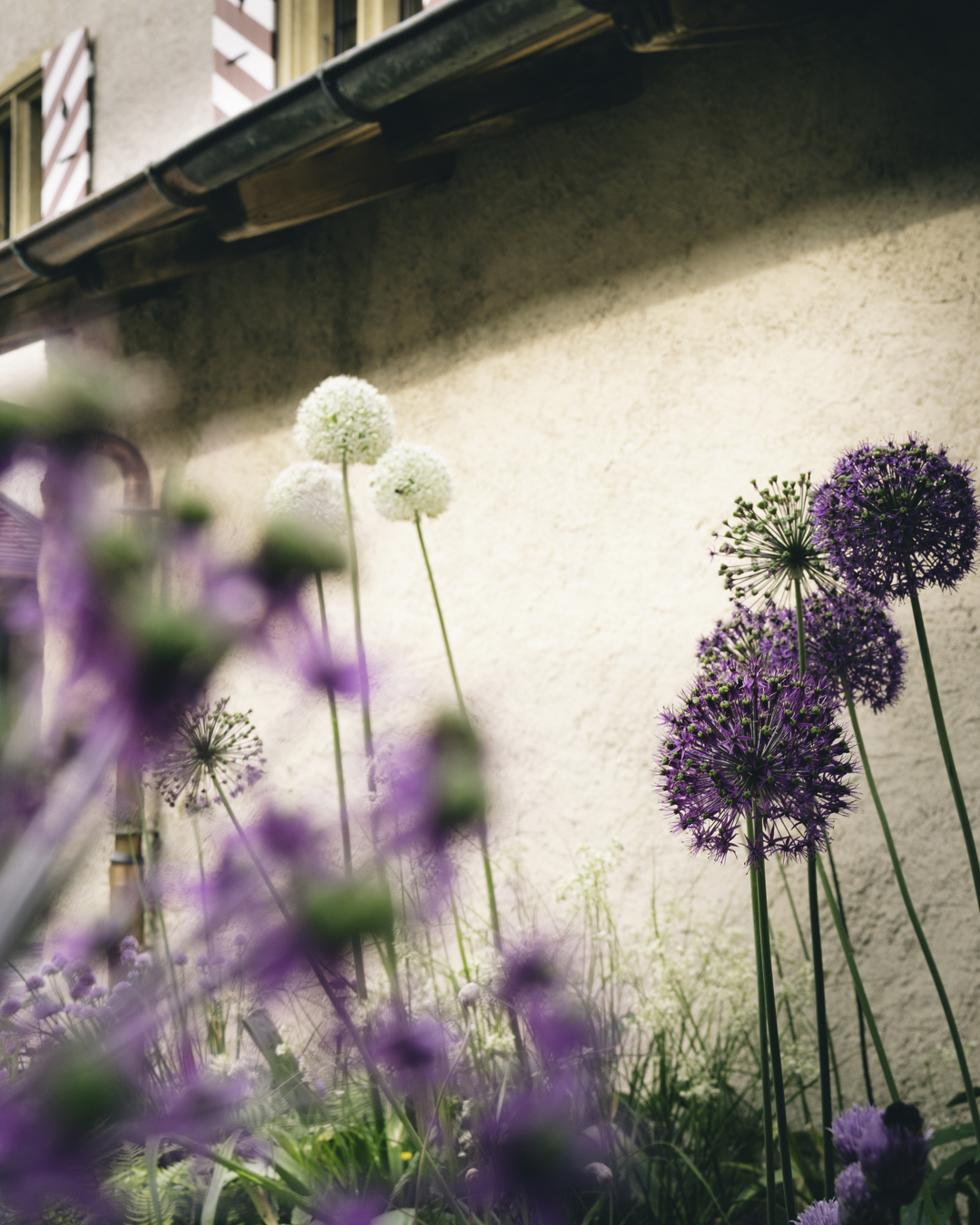 Helchit Paysage_Chateau Raymontpierre-25