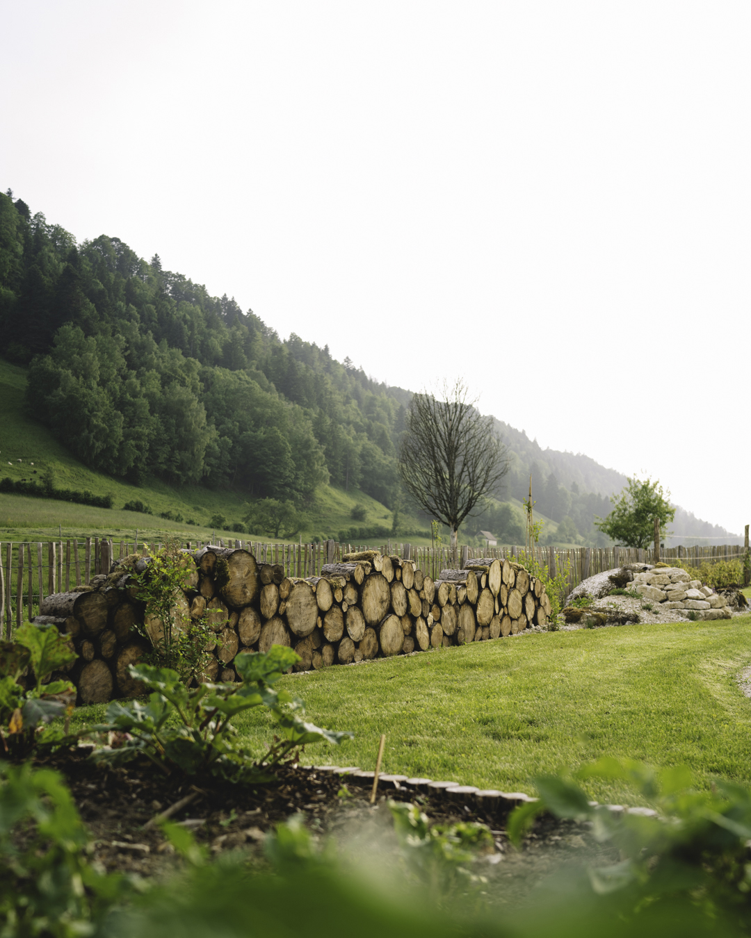 Helchit Paysage_Chateau Raymontpierre-39