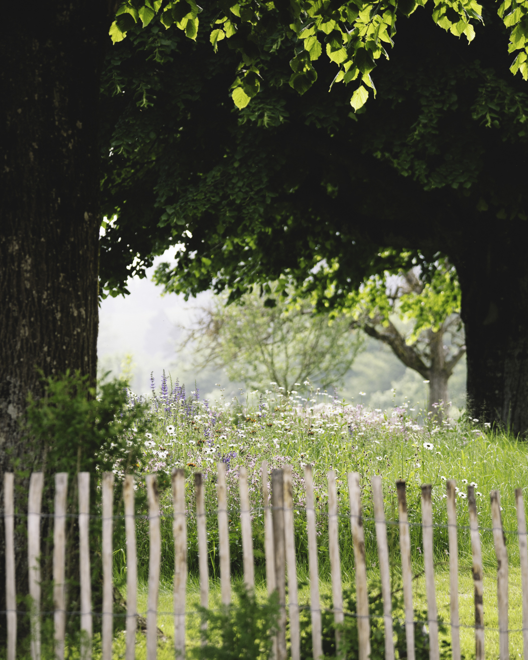 Helchit Paysage_Chateau Raymontpierre-4